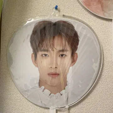K-POP 남성 아이돌 부채 세븐틴 도겸