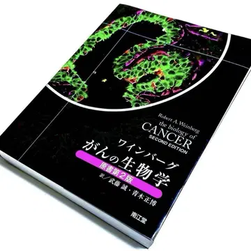 와인버그 암의 생물학 원서 제2판