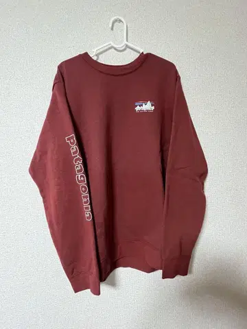 Patagonia 트레이닝복
