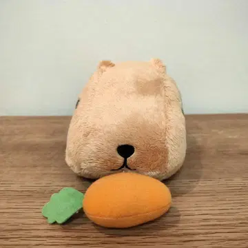 레어 카피바라 당근 봉제 인형 마스코트