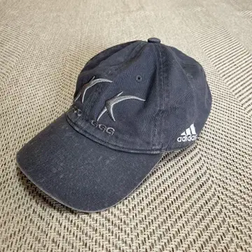 레어 KDG 434 ADI KAP - Stone/Silver CAP