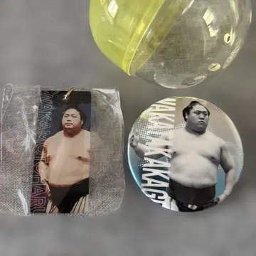 스모 가챠 와카모토하루 키링 & 와카타카카게 캔뱃지 세트