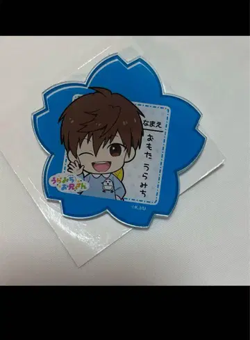 아크릴 배지