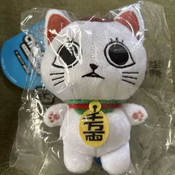 [미개봉] 단단단 Chibi 마스코트 터보바바 봉제 인형