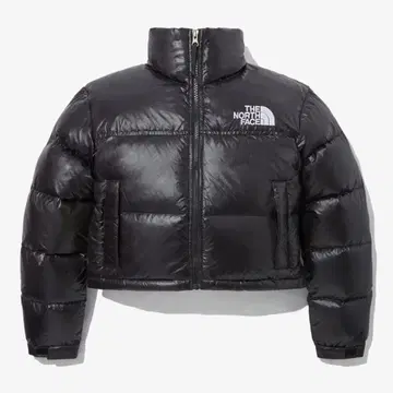 The north face 한국 다운