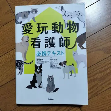 애완동물 간호사 필휴 텍스트