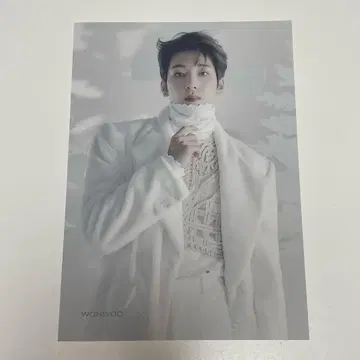 seventeen 세븐틴 세부치 원우 아이노치카라 타워 레코드 플라이어