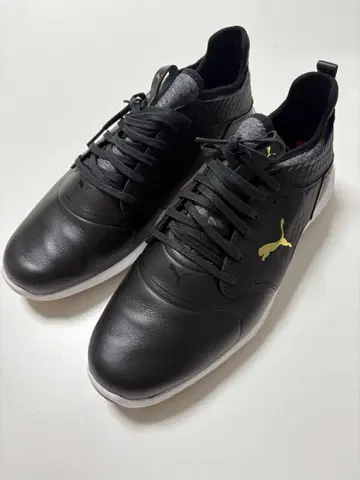 Puma 골프화 블랙