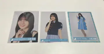 코사카 나오 브로마이드
