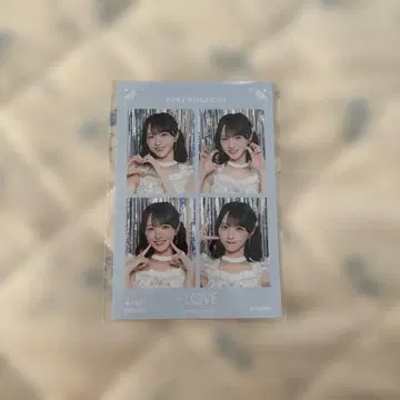 =LOVE 4컷 포토카드 vol.2 노구치 이오리