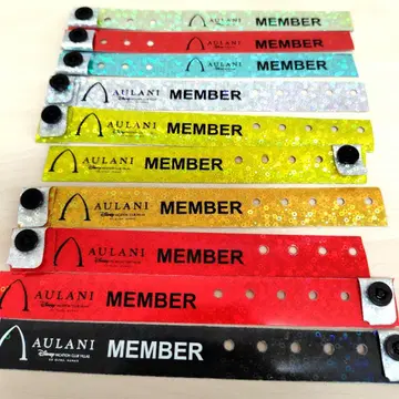 AULANI 멤버 리스트 밴드 세트