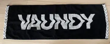 Vaundy 타월