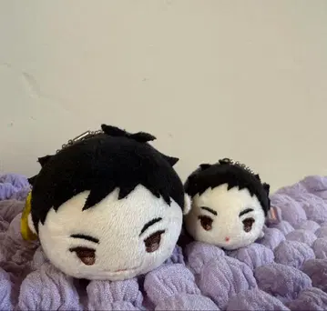 말랑말랑 마스코트 하이큐 사와무라 다이치