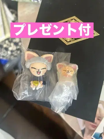 SKZOO 피규어 & 메지루시 액세서리 세트 폭시니