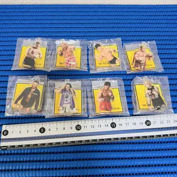 프로레슬링 노아 가챠 아크릴 스탠드 키링 세트