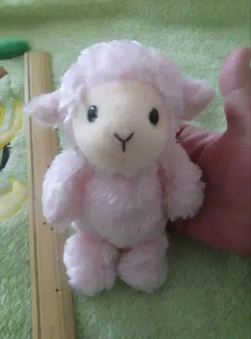 최종! STAR CHILD 스타차일드 봉제 인형 부티크 양