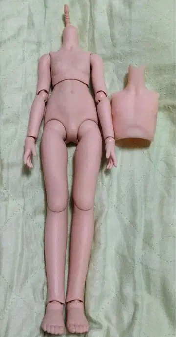 MDD 프레쉬 피부 바디