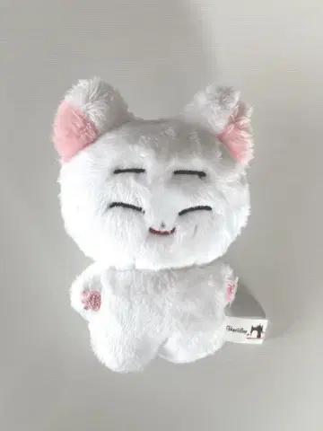선우 인형