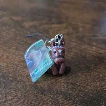 아이돌 호스 미니 컬렉션 아리마 기념 도우듀스