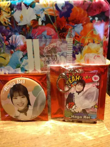 NMB48 goodspoon 콜라보 배지 키링 하가 레이