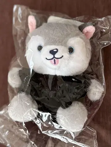 마츠무라 호쿠토 봉제 인형 토리이누