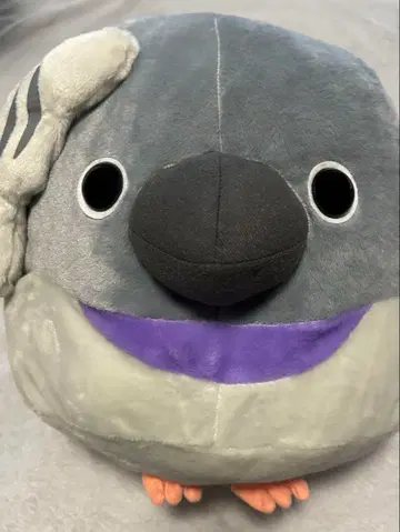 코토리타이 BIG 비둘기