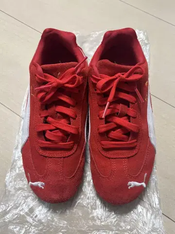 푸마 스피도캣 레드 23cm 상자 없음
