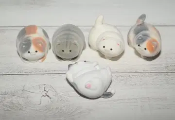 포챠포챠 오캣 님 소