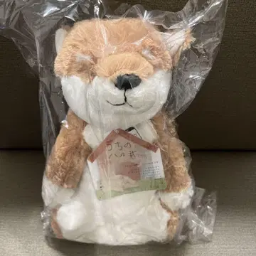 시나다 SHINADA 우리 하루 군 봉제 인형 시바견