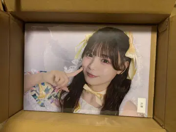 후루사와 리사 A3 포스터 온특
