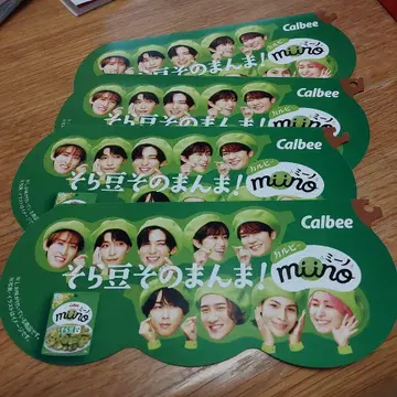 SnowMan 미노 플라이어 4장 세트