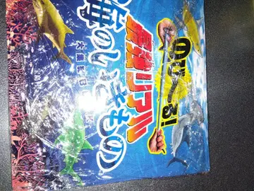 최강 리얼 바다 생물 5종