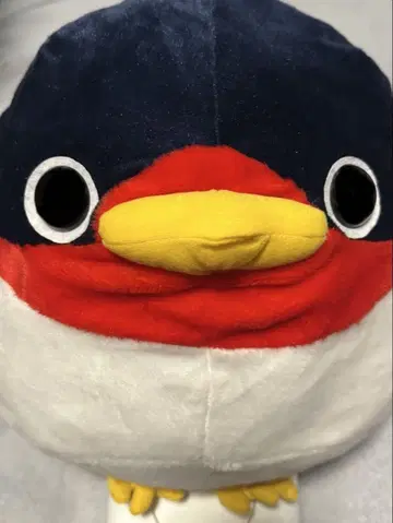 코토리타이 제비 BIG