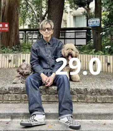 기무라 타쿠야 착용 스탠다드 캘리포니아 VANS 슬립온 29.0