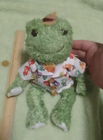 개구리 피클스 봉제 인형 비니돌 숲의 피클스 동동이