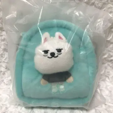 공식 TXT 뿔바투 용몽 멀티 파우치 1