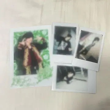 아나타시아 시바켄 런치키 브로마이드