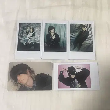 아나타시아 시바켄 런치키 폴라로이드 브로마이드
