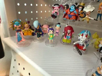 원피스 열매 와노쿠니 8개 세트