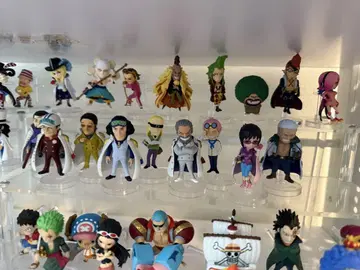 원피스 열매 해군 9개 세트