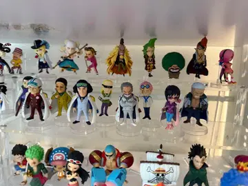 원피스 열매 해군 9개 세트