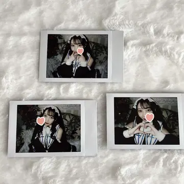 하나세 마이 런치 폴라로이드