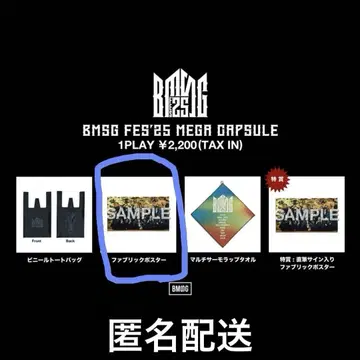 BMSG FES'25 메가 캡슐 패브릭 포스터