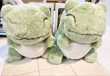 새상품급 엘풍 환포 봉제 인형 포켓몬 센터 폭신폭신