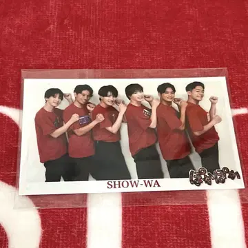 SHOW-WA 명함 사이즈 브로마이드
