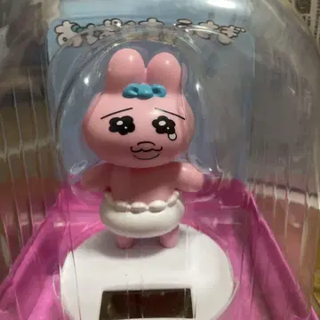빤쮸토끼 솔라