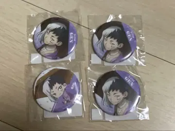 Dr.STONE 레이니데이 4세트