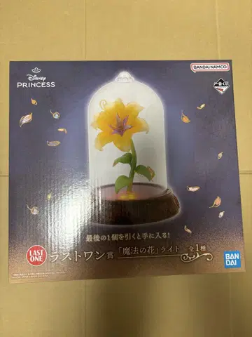 디즈니 프린세스 제일복권 라스트 원상 + 덤 5세트