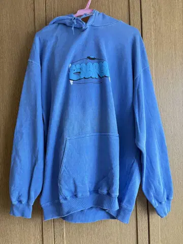 XLARGE 파랑 그래픽 후드티