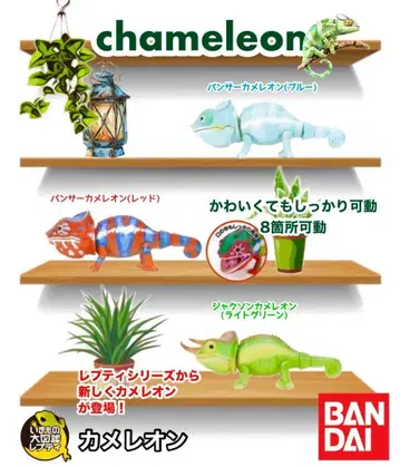 생물대도감 쁘띠 카멜레온 (3종)